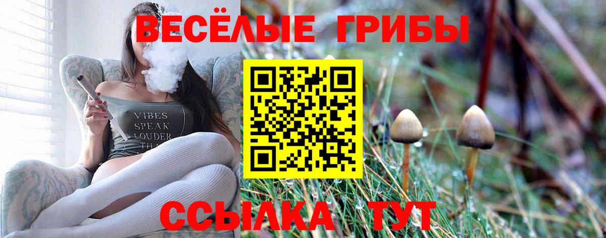 Владикавказ  Псилоцибиновые грибы мухоморы  Вход с VPN 
